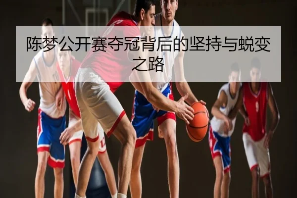 陈梦公开赛夺冠背后的坚持与蜕变之路