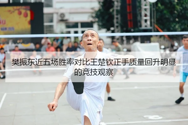樊振东近五场胜率对比王楚钦正手质量回升明显的竞技观察
